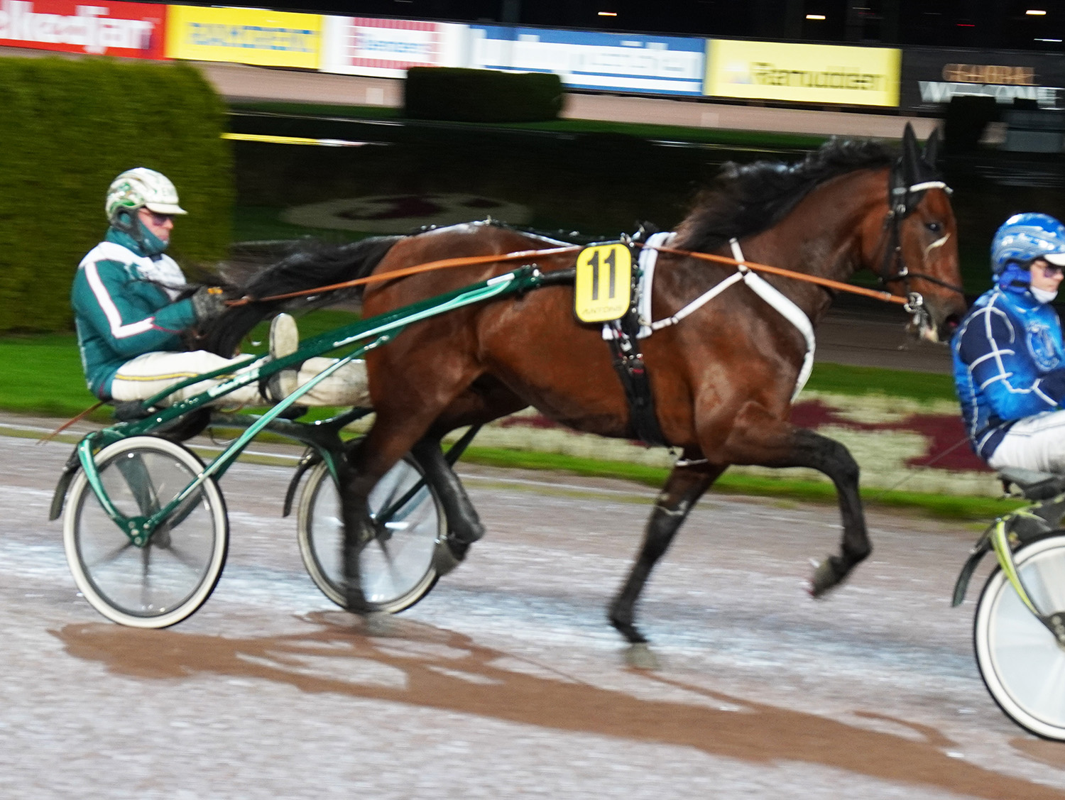 Hell of a Guy 25112-2